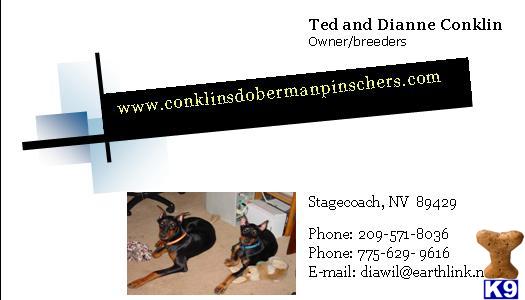 deedee1756 Picture 3